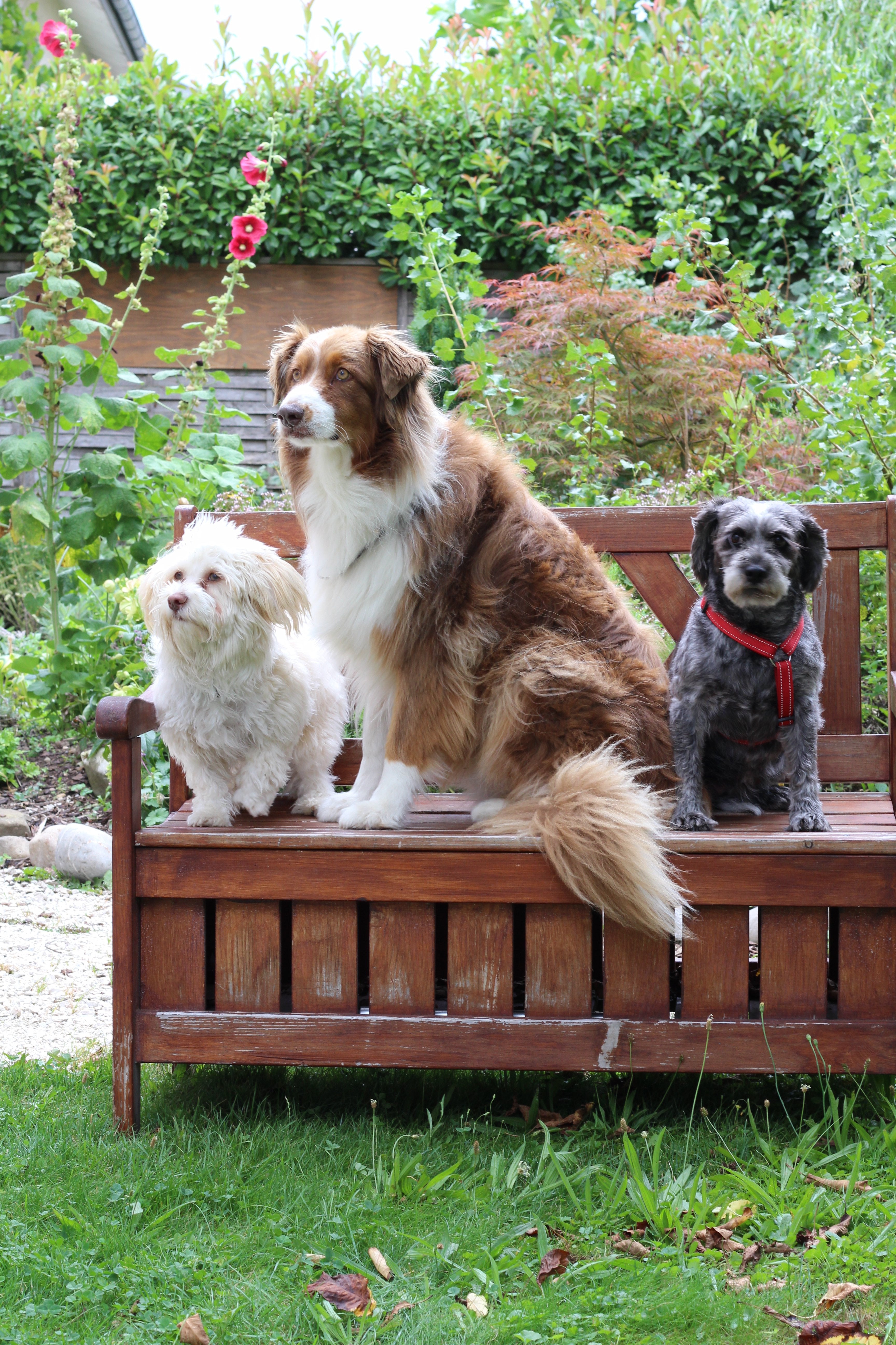 Haus Herbschtzytlos Pflegeheim Altersheim Mauensee Luzern