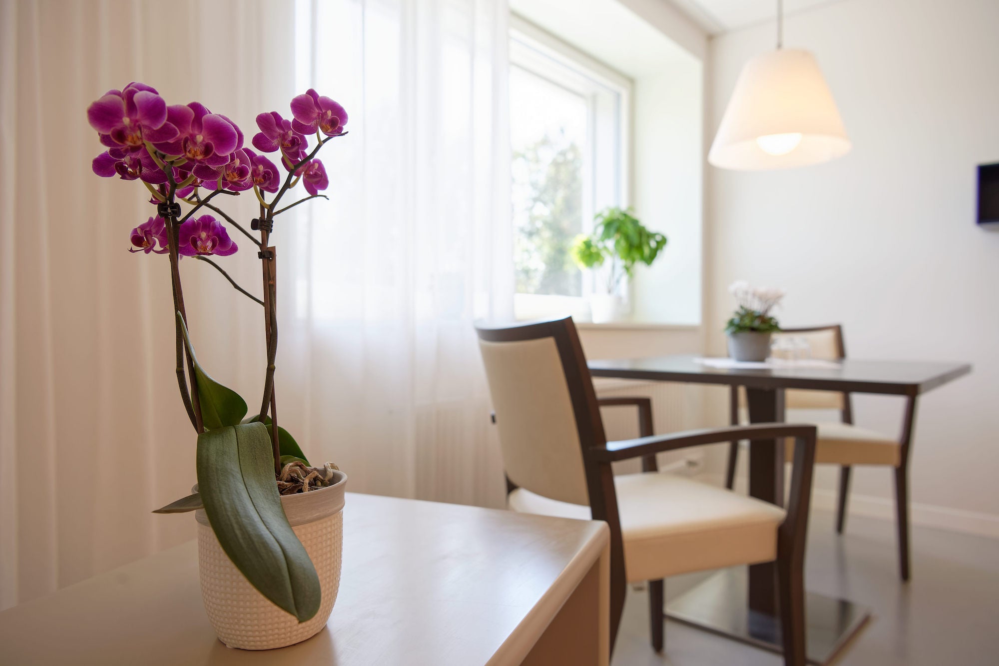 Reusspark Zentrum für Pflege und Betreuung Niederwil