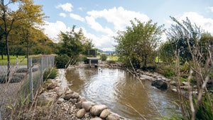 WG Fluematt Dagmersellen Wohngemeinschaft Behinderte Behinderung - Ansicht 3