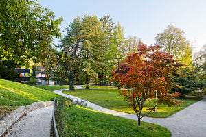 Domicil Kompetenzzentrum Demenz Wildermettpark Bern - Ansicht 3