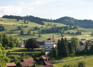 Schlossgarten Riggisberg Heim Behinderung - Ansicht 2
