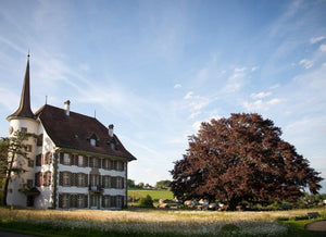 Schlossgarten Riggisberg - Ansicht 1