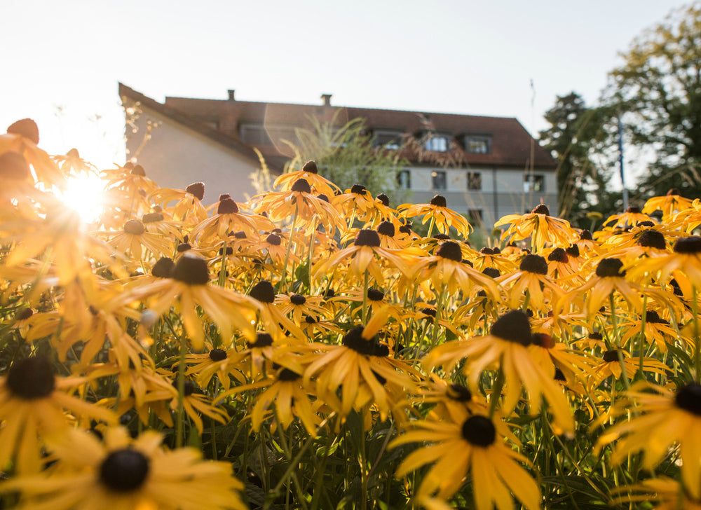 Stiftung Emilienheim Kilchberg Zürich Pflegeheim
